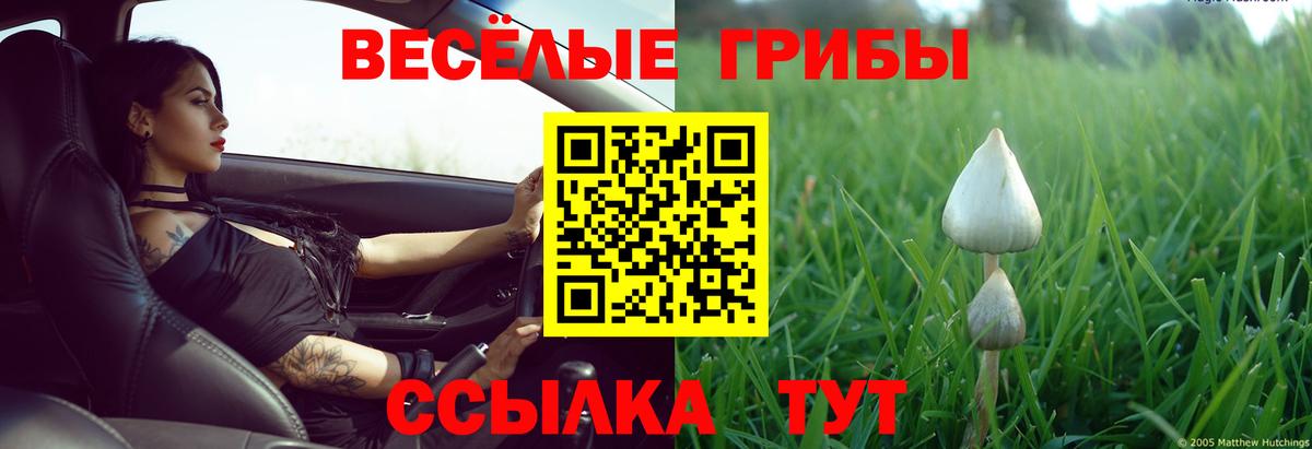 даркнет сайт  Вход с VPN  Ковров  Галлюциногенные грибы Magic Shrooms 
